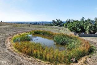 Residential Acreage,  Petaluma Hill road, Santa Rosa, CA 95404 - 21
