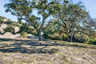 Residential Acreage,  Petaluma Hill road, Santa Rosa, CA 95404 - 27