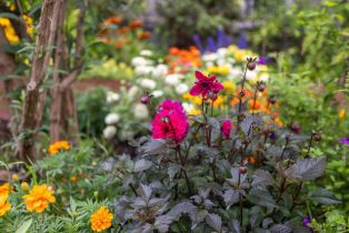 Single Family Residence,  Anish way, Windsor, CA 95492 - 38