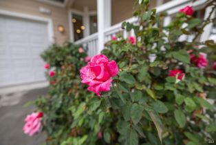 Single Family Residence,  Anish way, Windsor, CA 95492 - 35