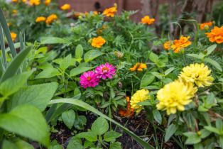 Single Family Residence,  Anish way, Windsor, CA 95492 - 37