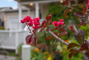 Single Family Residence,  Anish way, Windsor, CA 95492 - 36