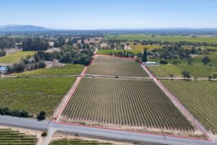 Agriculture,  River road, Windsor, CA 95492 - 10
