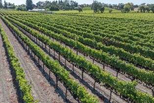 Agriculture,  River road, Windsor, CA 95492 - 2