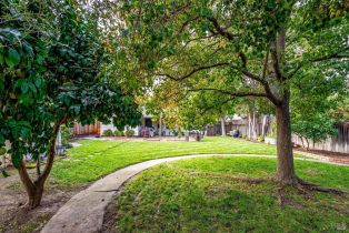 Single Family Residence, 5th street, Sonoma, CA 95476 - 28