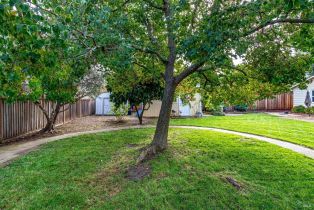 Single Family Residence, 5th street, Sonoma, CA 95476 - 29
