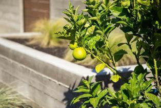 Single Family Residence,  Ursuline road, Santa Rosa, CA 95403 - 16