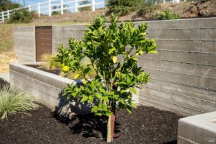 Single Family Residence,  Ursuline road, Santa Rosa, CA 95403 - 17