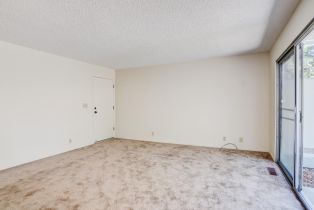 Residential Income, 5214 Fulton road, Santa Rosa, CA 95403 - 44