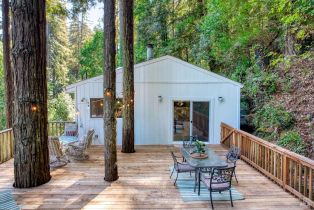 Single Family Residence,  Starrett Hill drive, Russian River, CA 95462 - 5