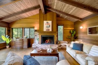 Single Family Residence,  Starrett Hill drive, Russian River, CA 95462 - 16