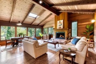 Single Family Residence,  Starrett Hill drive, Russian River, CA 95462 - 13