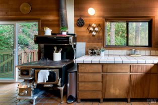 Single Family Residence,  Starrett Hill drive, Russian River, CA 95462 - 20