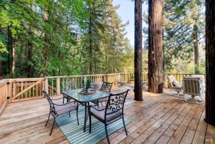 Single Family Residence,  Starrett Hill drive, Russian River, CA 95462 - 22