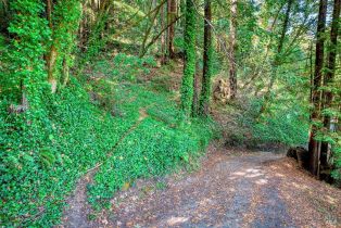 Single Family Residence,  Starrett Hill drive, Russian River, CA 95462 - 43