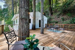 Single Family Residence,  Starrett Hill drive, Russian River, CA 95462 - 26