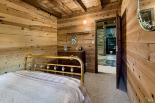 Single Family Residence,  Starrett Hill drive, Russian River, CA 95462 - 37