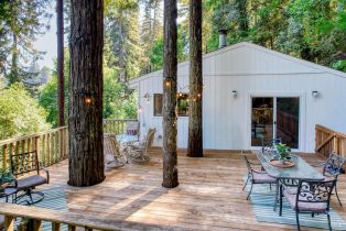 Single Family Residence,  Starrett Hill drive, Russian River, CA 95462 - 6
