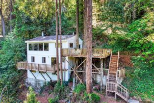 Single Family Residence,  Starrett Hill drive, Russian River, CA 95462 - 9