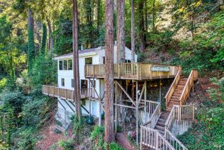 Single Family Residence,  Starrett Hill drive, Russian River, CA 95462 - 10