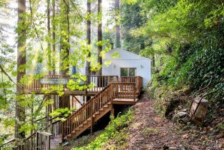 Single Family Residence,  Starrett Hill drive, Russian River, CA 95462 - 44