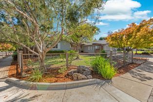 Single Family Residence,  Young avenue, Napa, CA 94558 - 46