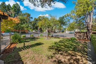 Single Family Residence,  Young avenue, Napa, CA 94558 - 43