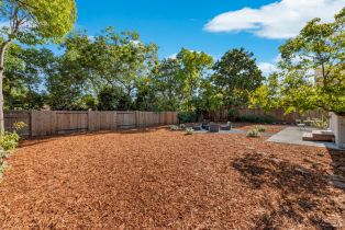 Single Family Residence,  Young avenue, Napa, CA 94558 - 41