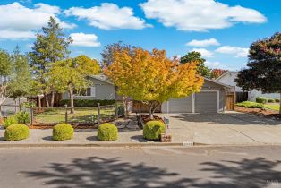 Single Family Residence,  Young avenue, Napa, CA 94558 - 48