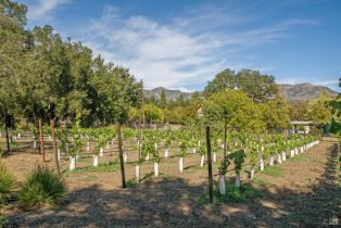 Single Family Residence,  Myrtledale road, Calistoga, CA 94515 - 67