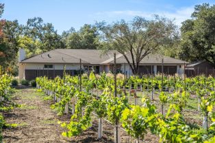 Single Family Residence,  Myrtledale road, Calistoga, CA 94515 - 70