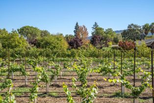 Single Family Residence,  Myrtledale road, Calistoga, CA 94515 - 66