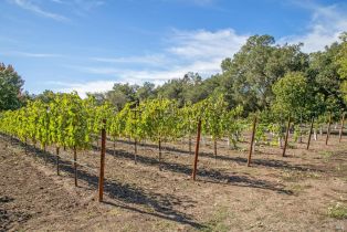 Single Family Residence,  Myrtledale road, Calistoga, CA 94515 - 69