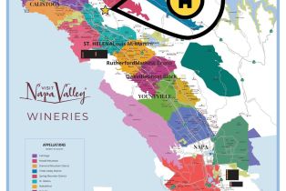 Single Family Residence, Crestmont drive, Angwin, CA 94508 - 52