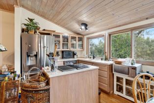 Single Family Residence,  Geysers road, Cloverdale, CA 95425 - 12