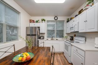 Residential Income, 1173 Gravenstein highway, Sebastopol, CA 95472 - 4