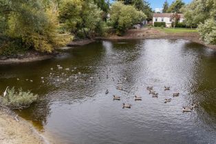 Single Family Residence,  Rainsville road, Petaluma, CA 94952 - 6