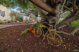 Single Family Residence,  Rainsville road, Petaluma, CA 94952 - 5