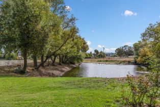 Single Family Residence,  Rainsville road, Petaluma, CA 94952 - 46