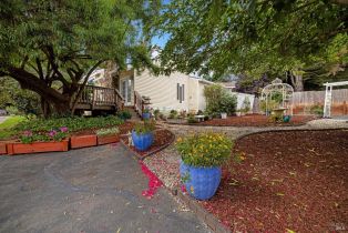 Single Family Residence,  Rainsville road, Petaluma, CA 94952 - 40