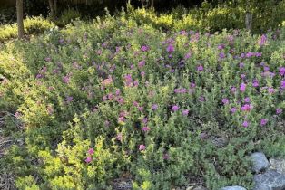 Single Family Residence, Heidi lane, Cloverdale, CA 95425 - 71