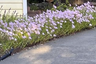 Single Family Residence, Heidi lane, Cloverdale, CA 95425 - 69