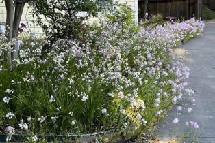 Single Family Residence, Heidi lane, Cloverdale, CA 95425 - 70