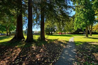 Single Family Residence, Summerfield drive, Napa, CA 94558 - 39