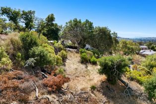 Residential Acreage,  Monticello road, Napa, CA 94558 - 13