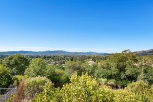 Residential Acreage,  Monticello road, Napa, CA 94558 - 6