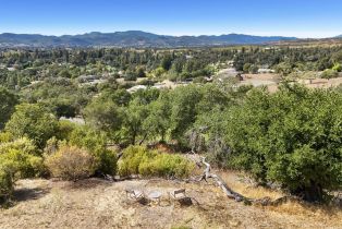 Residential Acreage,  Monticello road, Napa, CA 94558 - 4