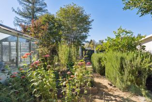 Single Family Residence,  Perkins street, Sonoma, CA 95476 - 40