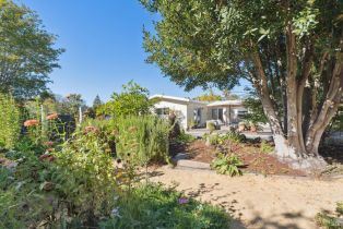 Single Family Residence,  Perkins street, Sonoma, CA 95476 - 36
