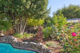 Single Family Residence,  Perkins street, Sonoma, CA 95476 - 22